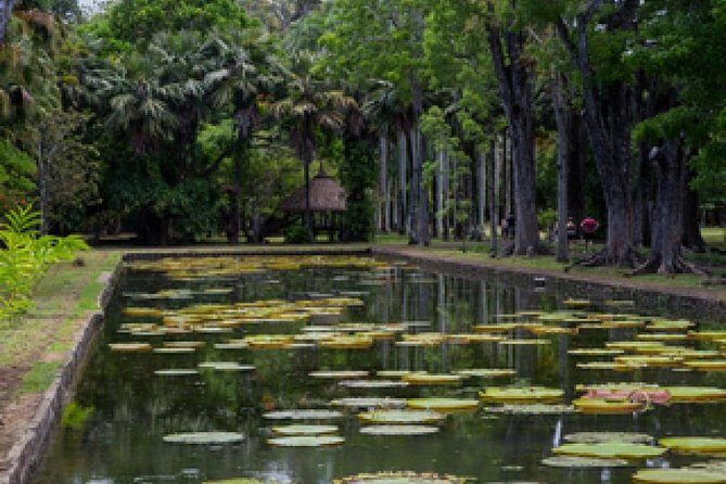 Port Louis and Pamplemousses Garden - A full day trip - Le Caudan Waterfront and Victoria Urban Terminal: a sea-breeze pause for browsing