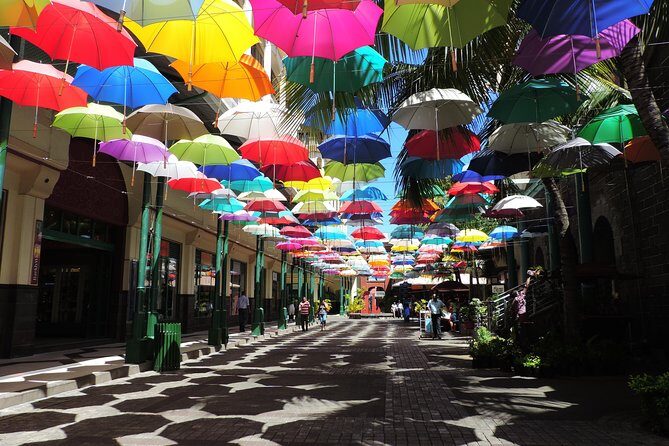 Port Louis and Pamplemousses Garden - A full day trip - SSR Botanic Garden: plan on more time than you think