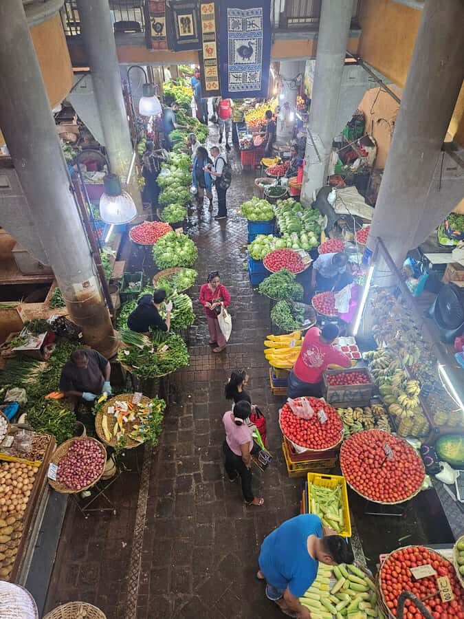 Port Louis: Mont Choisy, Botanical Garden, and Church Tour - Transportation and guide style: what makes this feel like a private day