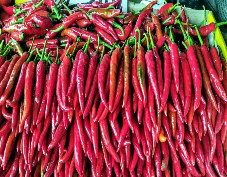 Port Louis: Northern Treasures Private Tour - Practical Advice Before You Go