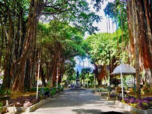 Port Louis: Street Eats and City Highlights Walking Tour - Starting at Caudan Arts Centre: your anchor point