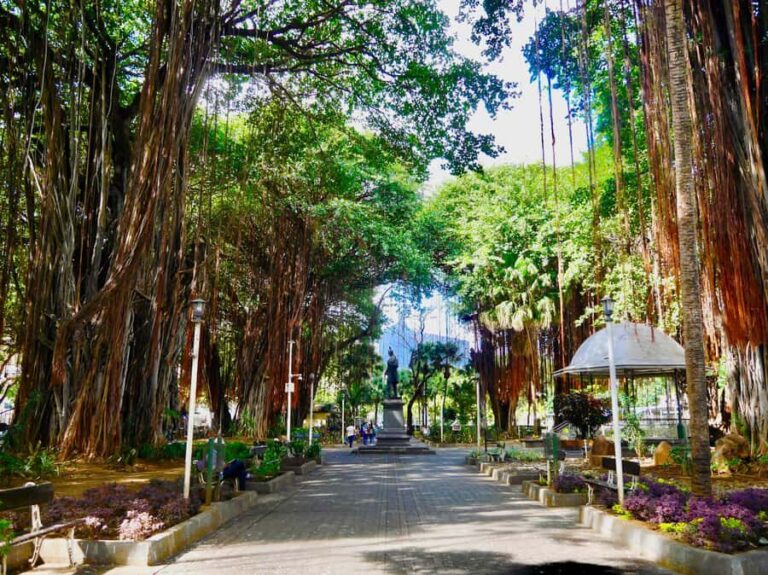 Port Louis: Street Eats and City Highlights Walking Tour - Starting at Caudan Arts Centre: your anchor point