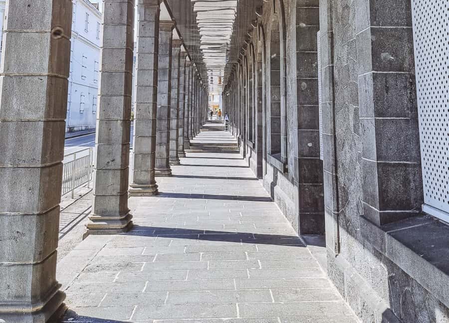 Port Louis: Street Food & City Tour - Company Garden-style walking: shade, old buildings, and hanging roots