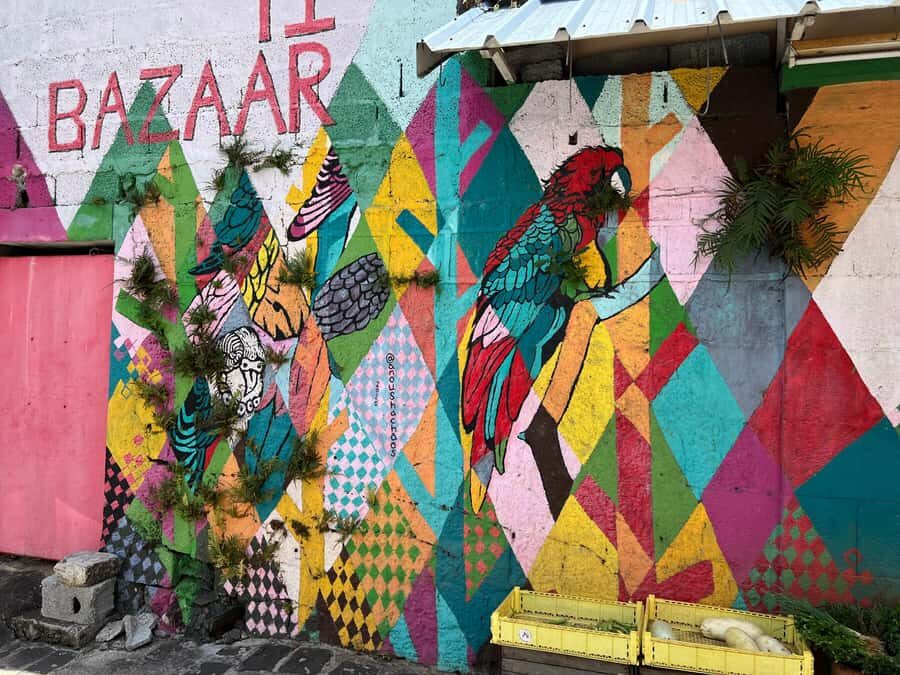 Port Louis: Street Food & City Tour - Pace, group size, and why the guide matters