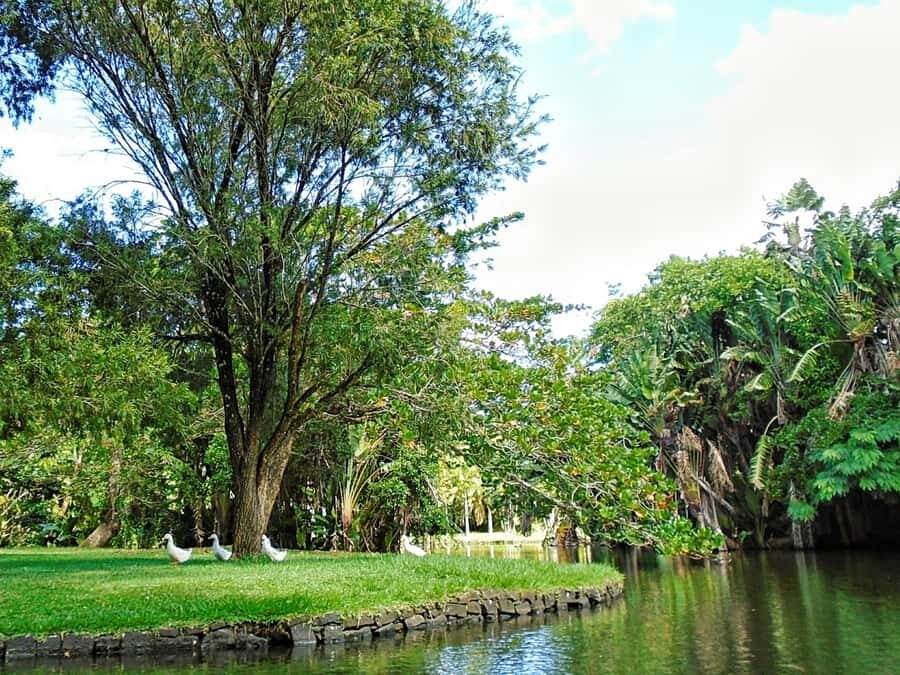 Private All Inclusive North Tour with Lunch & Entrance Fees - Key Things You’ll Notice on This North Mauritius Tour
