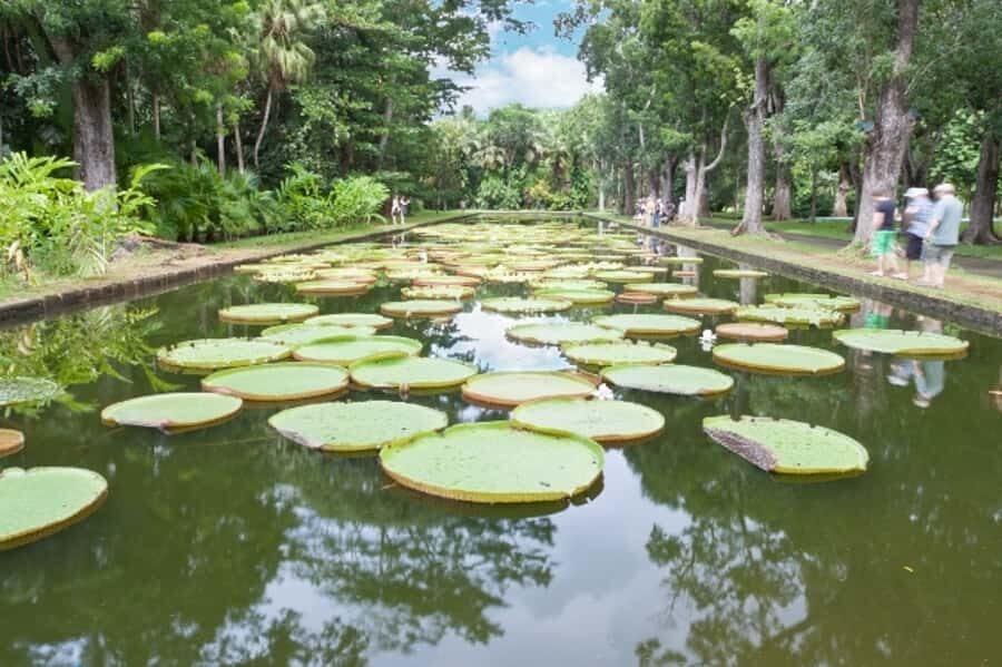 Private All Inclusive North Tour with Lunch & Entrance Fees - How This Private 8-Hour Plan Feels in Real Time