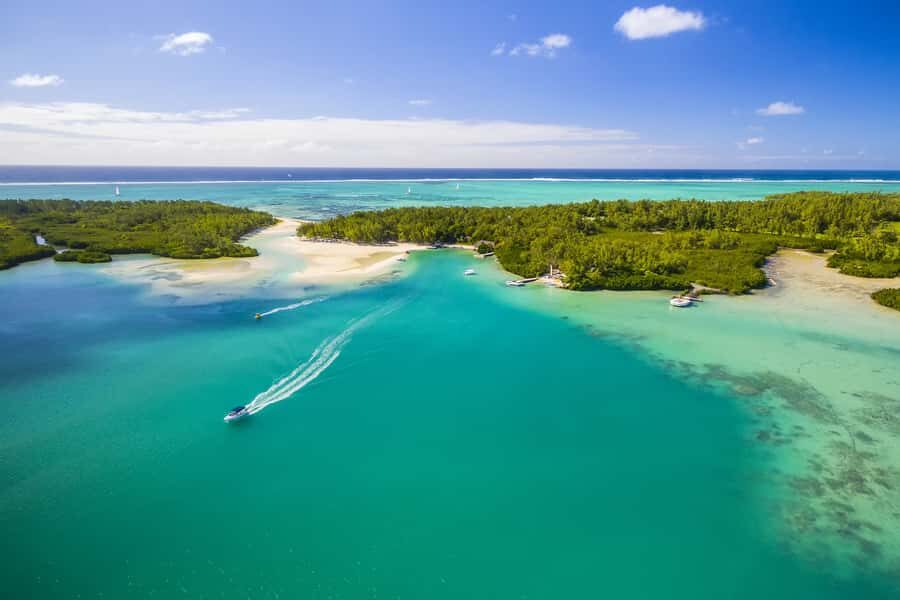 Private Catamaran Charter to Ile aux Cerfs - Dolphin Watching: A Realistic Chance, Not a Guarantee