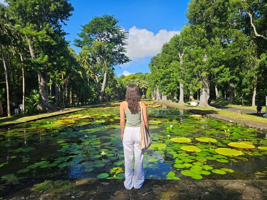PRIVATE FULL-DAY NORTH AND SOUTH TOUR - Optional Rhumerie de Chamarel and the Bennitier View