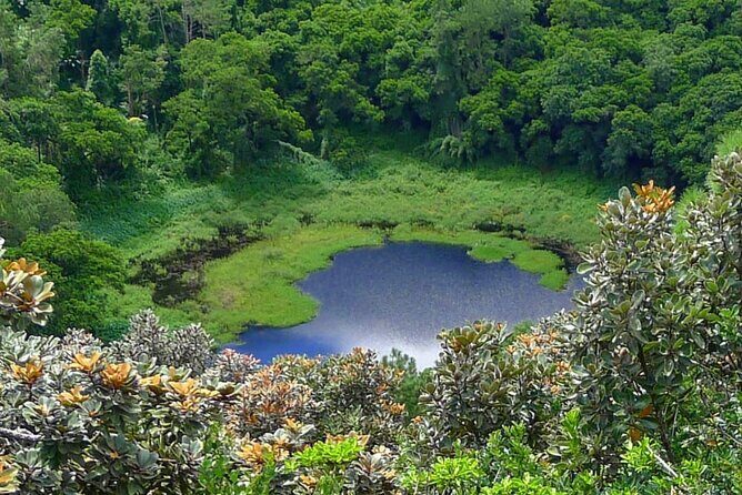 Private Full Day Tour in Mauritius - A Private 8-Hour Circuit Through Mauritius’ South (Not a Rush Hour Grab-Bag)