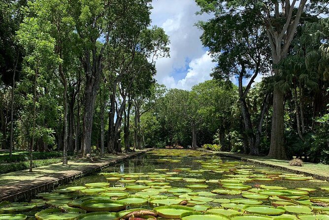 Private Guided Tour of Northern Mauritius with Shopping in Port Louis - The route: Port Louis to the north coast in one day