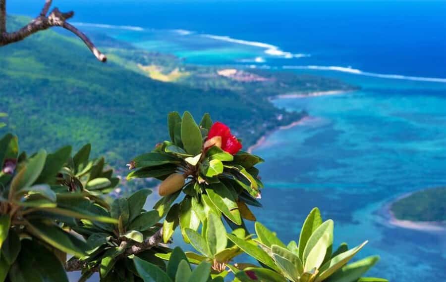 Private Hiking le Morne Mountain & Lunch at Ilot Fourneau - Key things to know before you go
