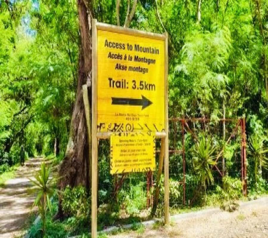 Private Hiking le Morne Mountain & Lunch at Ilot Fourneau - Wildlife and the Paille en Queue moment you should watch for
