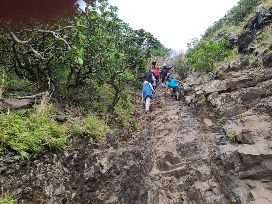 PRIVATE LeMorne Mountain Picturesque Hike-UNESCO Recognised - Included vs Not Included: What You Get for $226