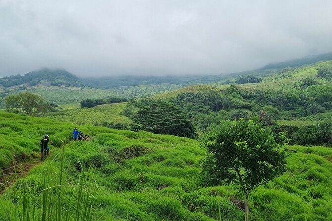 Private Mountain Biking Experience in the Wild South of Mauritius - Your bike setup: Giant full suspension, helmet and gloves, and why it matters