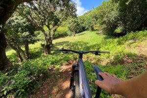 Private Mountain Biking Experience in the Wild South of Mauritius - How the shuttle changes your whole 3-hour plan