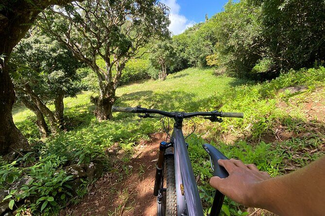 Private Mountain Biking Experience in the Wild South of Mauritius - How the shuttle changes your whole 3-hour plan