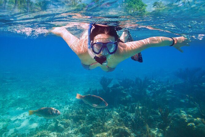 Private speed boat to Ile aux Cerfs full-day Incl: Lunch & Transfer - Ile aux Cerfs arrival: why the lagoon time is the main event
