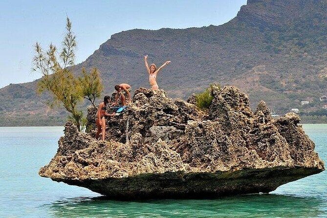 Private Speed Boat Tour and Dolphin Encounter at Ile aux Benitier - Ile aux Benitiers: 3-course lunch and lagoon wandering