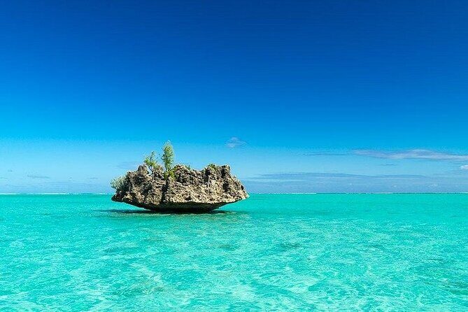 Private Speed Boat Tour and Dolphin Encounter at Ile aux Benitier - What to bring (and what to wear) for a smooth water day