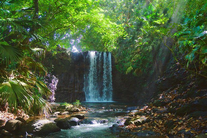 Randonnée - Le Sud Sauvage - Beyond Water: Virgin Forest, Deserted Beaches, and Ocean Cliffs