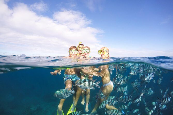 Sailing Catamaran Cruises - Key highlights at a glance