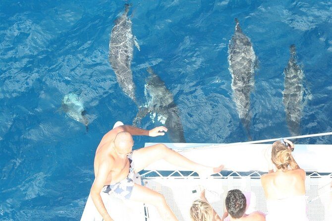 Sailing Catamaran Cruises - From Black River Bay to Le Morne views: what you see from the water