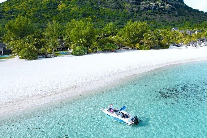 Signature Experience: Dolphins and Flavors of the Sea - Setting Out From St. Regis Le Morne: Your 8:00 AM Sea Day