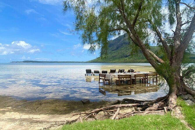 Signature Experience: Dolphins and Flavors of the Sea - Ile aux Benitiers: Lunch on a Private Beach (and Why It Works)