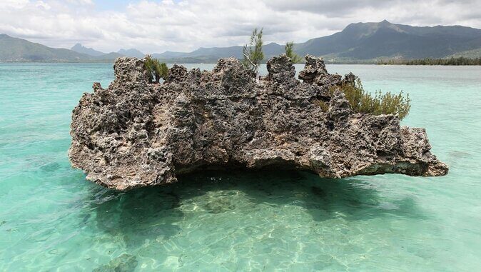 Snorkel with Dolphins, Lunch on Benitiers island, Speedboat - Key highlights worth your attention
