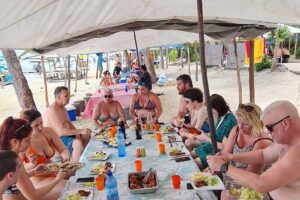 Snorkel with Dolphins, Lunch on Benitiers island, Speedboat - Stop 1 at Tamarin Bay: dolphins, snorkeling, and Crystal Rock time