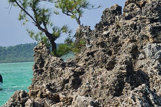 Snorkel with Dolphins, Lunch on Benitiers island, Speedboat - The UNESCO-listed landmark you’ll see from the water