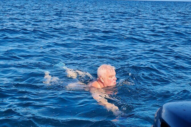 Snorkel with Dolphins, Lunch on Benitiers island, Speedboat - Price and value: why about $64 can make sense here