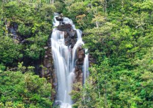 South: Gorges, Waterfalls, Lakes, Trails, 23 Coloured Earth - Mare aux Vacoas and the start-of-day reservoir stop