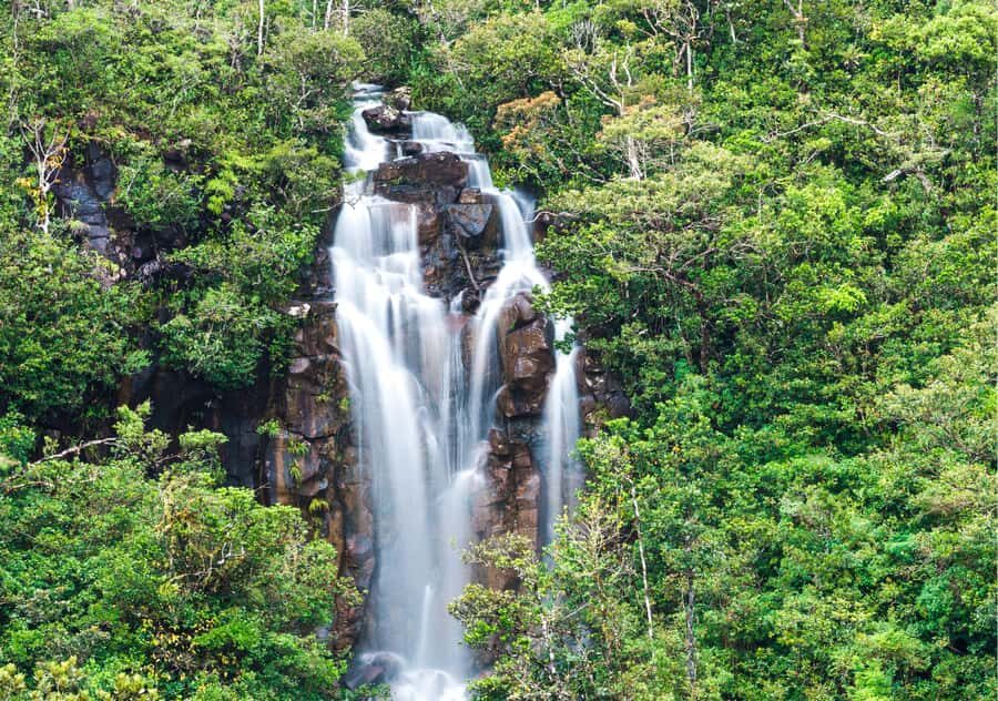South: Gorges, Waterfalls, Lakes, Trails, 23 Coloured Earth - Mare aux Vacoas and the start-of-day reservoir stop