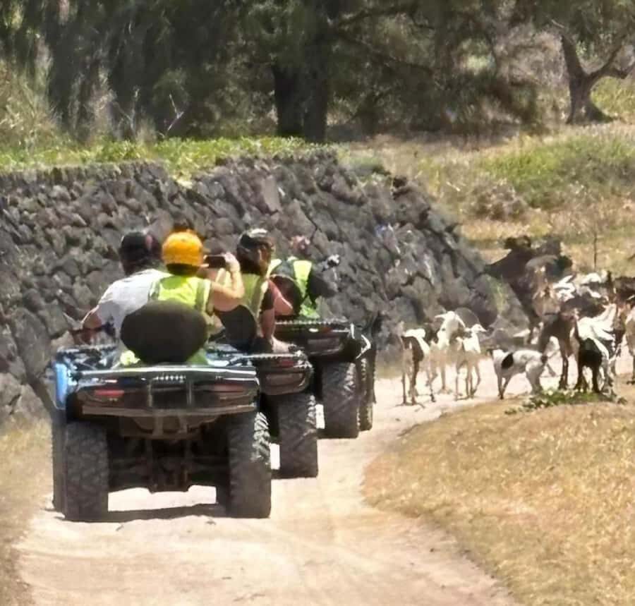 South of Mauritius: Quad Bike Tour - La Cambuse Beach Swim: The Cooling-Off Payoff