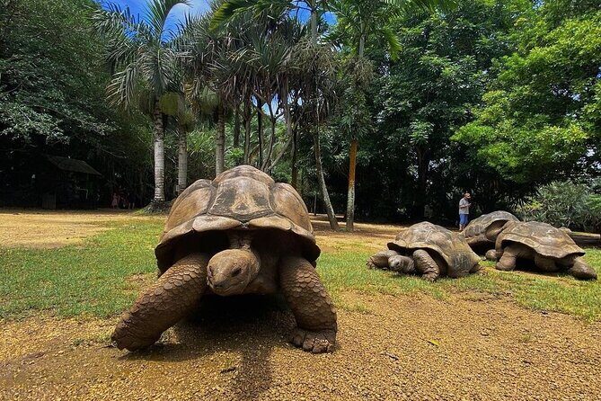 Southern Tales: Full-day incl Crocodile Park & 23 Colored Earth - A Southwest day plan that actually makes sense for first-timers