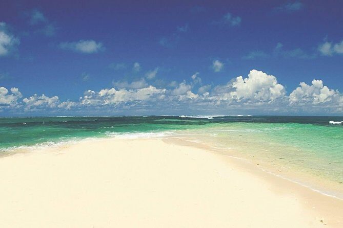 Spectacular Catamaran trip to Ile Aux Cerf with Lunch & Transfer - Lunch on Ile aux Cerfs: 3 courses and a drinks list that matters