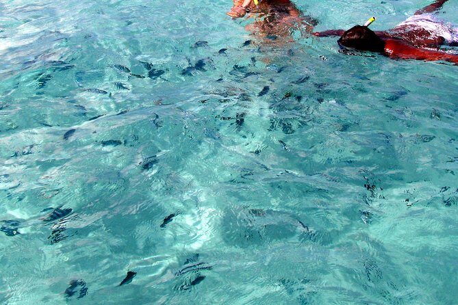Spectacular Catamaran trip to Ile Aux Cerf with Lunch & Transfer - Ile aux Cerfs: beach time, optional thrills, and the undersea walk question