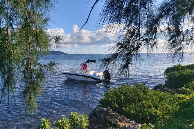Speed Boat Tour île aux Cerfs and Others Gems of The South - One practical lesson: dietary needs and the BBQ