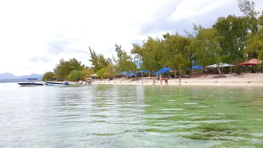 Speedboat to Ile aux Benitier: Dolphin Encounter & Lunch - Key Things You’ll Want to Know Up Front