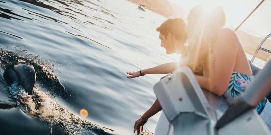 Speedboat to Ile aux Benitier: Dolphin Encounter & Lunch - Crystal Rock and Le Morne Mountain: A Scenic Pause That Changes the Mood