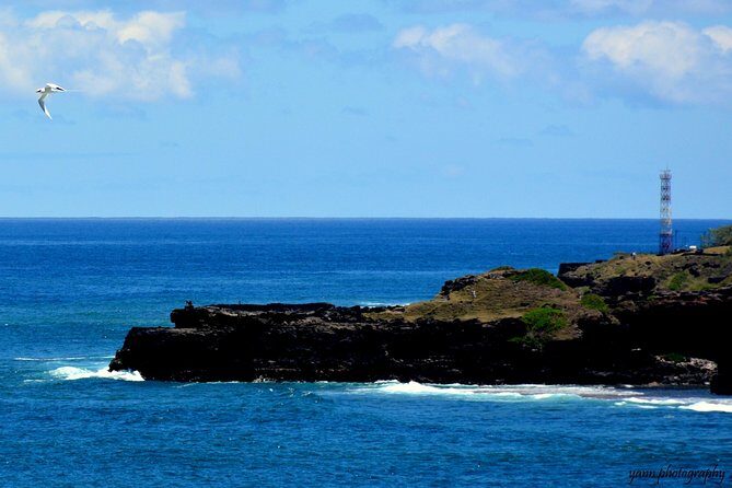 Sweet Scenic 30KM - Price and what you’re paying for ($198.66 per person)