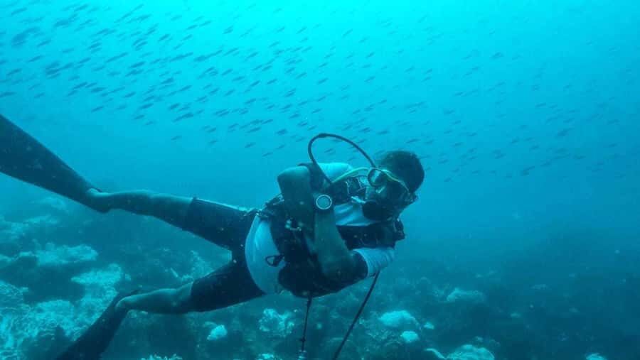 Tamarin Bay: Beginners Scuba Diving Experience - Why Tamarin Bay is a smart pick for your first scuba session