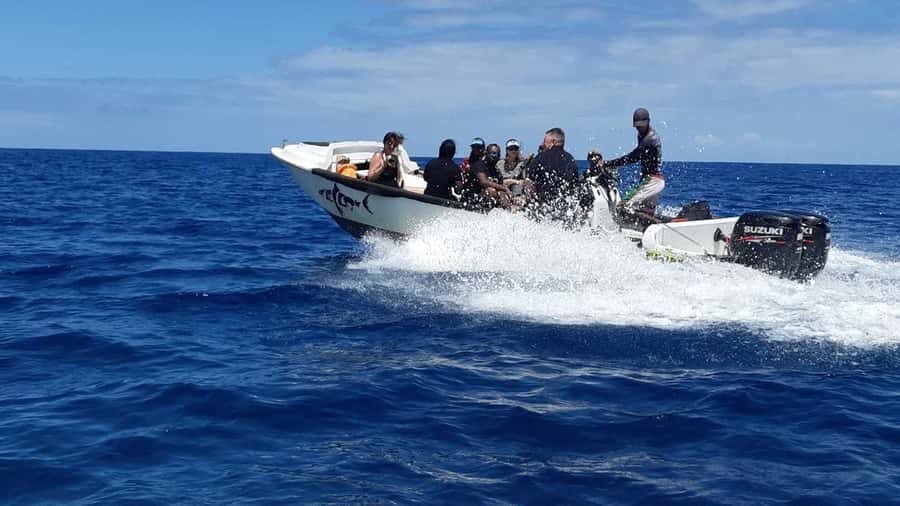 Tamarin Bay: Beginners Scuba Diving Experience - Instructor attention: why small groups change everything on a first attempt