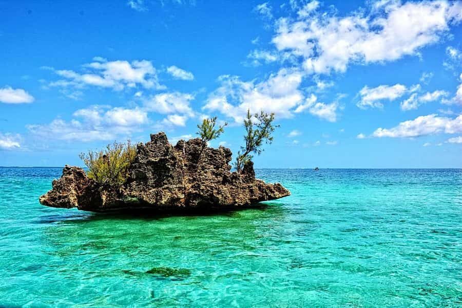 Tamarin: Dolphin Snorkel, CrystalRock, ile o Benitiers Lunch - Key Points You’ll Care About