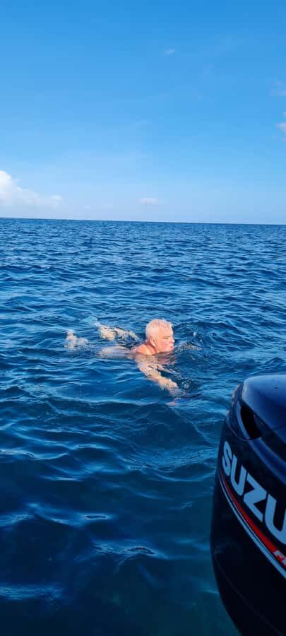 Tamarin: Dolphin Snorkel, CrystalRock, ile o Benitiers Lunch - Who This Tour Suits Best (and Who Should Skip It)