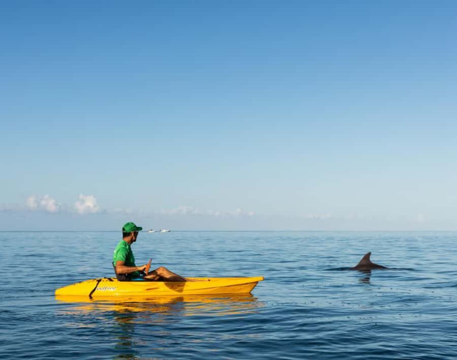 Tamarin: Guided Kayak Tour with Dolphins - Getting started: the Yanature meetup and first minutes on the water