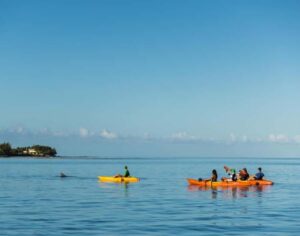 Tamarin: Guided Kayak Tour with Dolphins - Sunrise paddle: Tamarin Beach to Tamarin Bay in 150 minutes