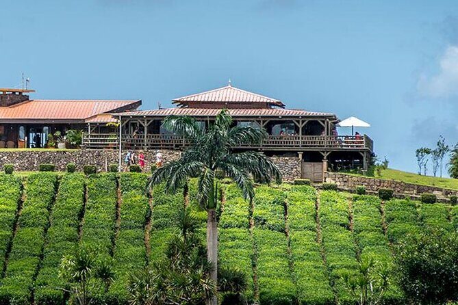 Tea Experience in the Exotic South of Mauritius Private tour. - Scenic Routes Between Central and South: Why the Drive Matters