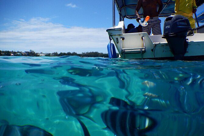 The beautiful East of Mauritius:incl Blue-Bay Marine Park, Crocodile park &Lunch - The Blue Bay Marine Park plan: glass-bottom views and snorkeling you can actually enjoy